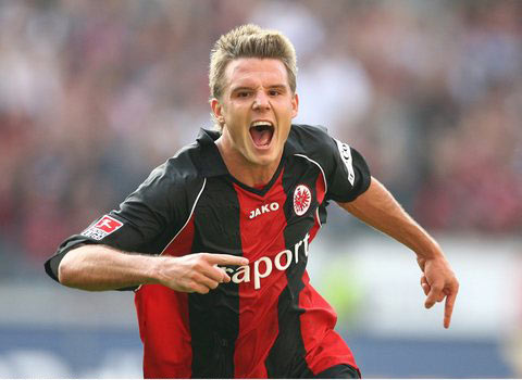 他们的能力 他们的能力